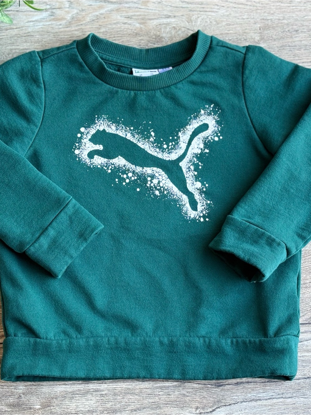 Puma Teal/ Green  Crewneck Sweatshirt with White Logo